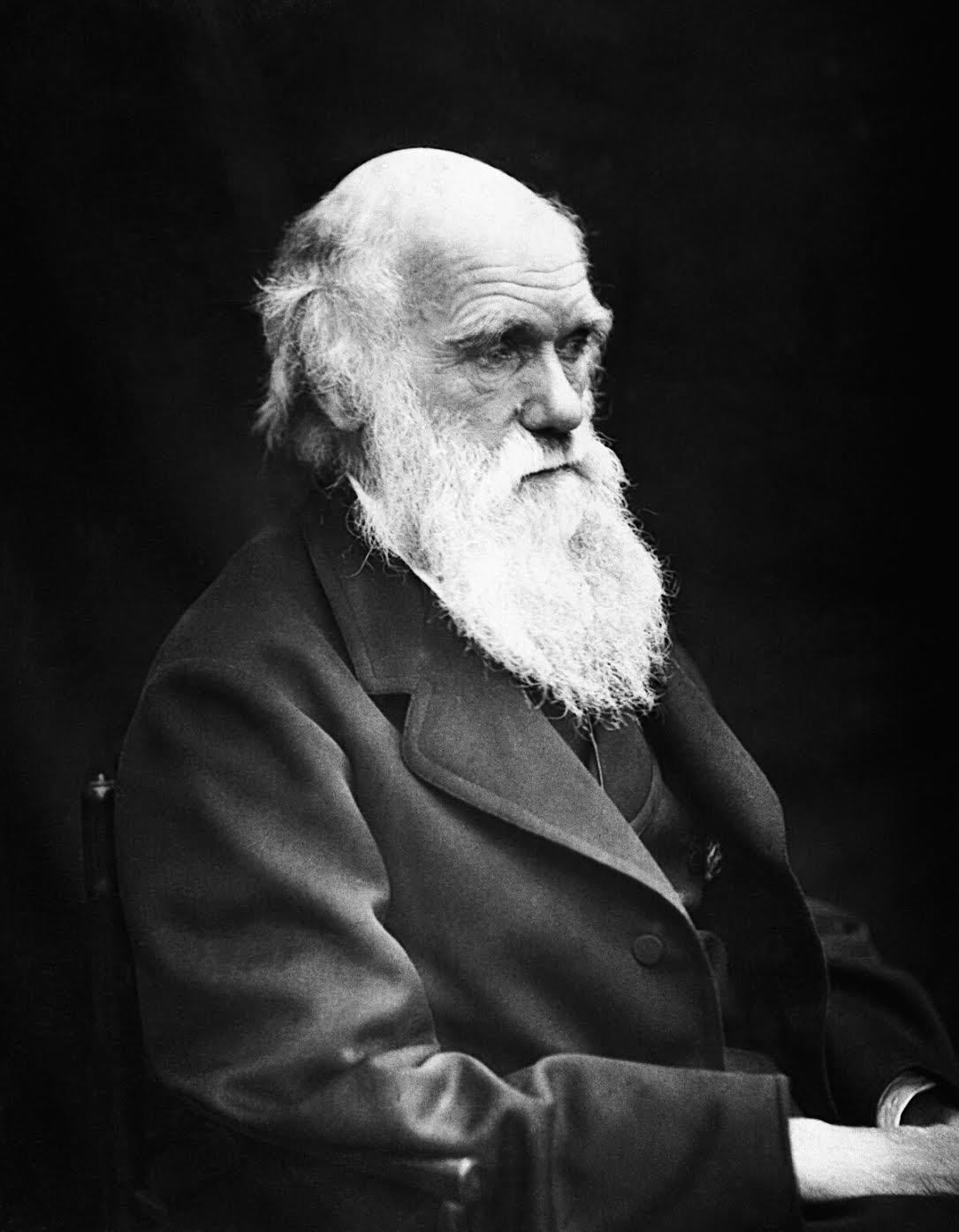 GRAZIE DARWIN 2024: a Napoli torna l'appuntamento della Federico II dedicato a Charles Darwin
