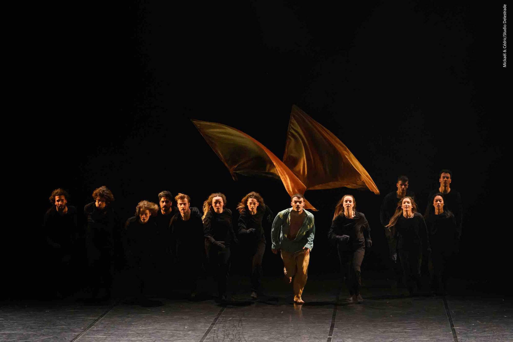 Teatro Salieri LEGNAGO: L'Uccello di Fuoco e il Bolero, l'11 aprile con il Ballet de l'Opéra Grand Avignon