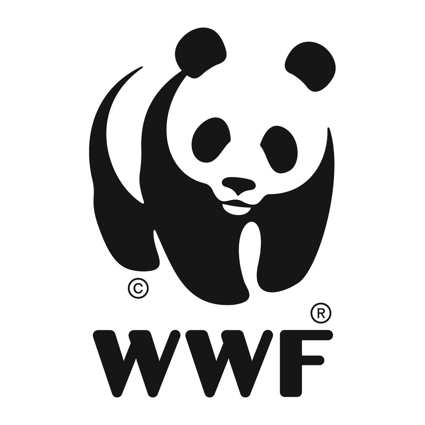 Il 2 febbraio è il World Wetlands Day WWF: SOLO NEGLI ULTIMI 50 ANNI NEL MONDO PERSO IL 35% DELLE ZONE UMIDE