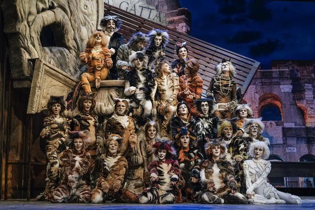 CATS per la regia di MASSIMO ROMEO PIPARO dall'8 all'11 febbraio al Teatro Stabile del Friuli Venezia Giulia Trieste