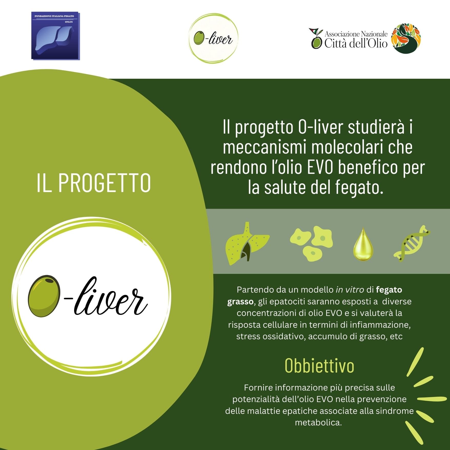 SALVARE UN OLIVETO SALVA LA VITA novità importante: una raccolta fondi a sostegno del progetto di ricerca “O-liver" della Fondazione 27 ottobre in 100 città