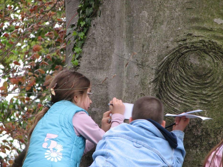 UDINE/SPILIMBERGO, domani 21 novembre la GIORNATA NAZIONALE DELL'ALBERO