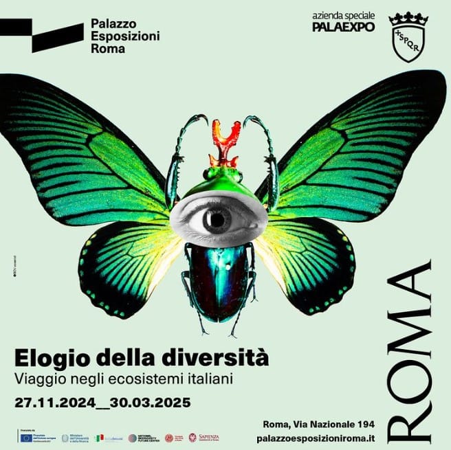 NBFC: Apre domani la mostra "Elogio della diversità. Viaggio negli ecosistemi italiani" | 27 novembre - 30 marzo, Palazzo Esposizioni di Roma