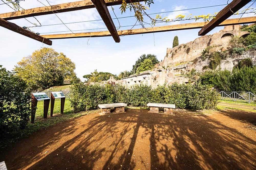 Oasi Aurum Coronarium: storia, natura e scienza al centro del nuovo progetto del Parco archeologico del Colosseo