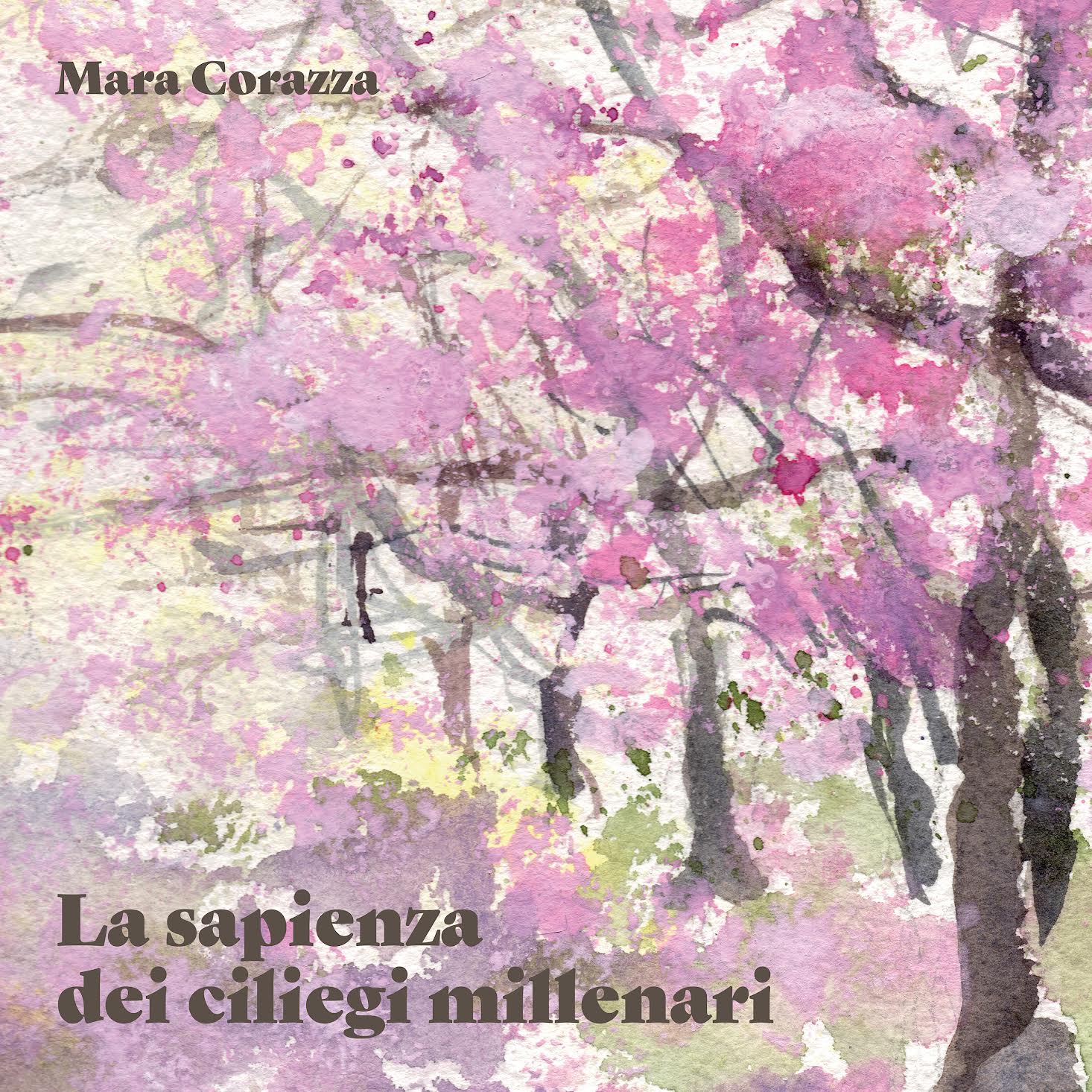 La sapienza dei ciliegi millenari per San Valentino: il disco della compositrice Mara Corazza