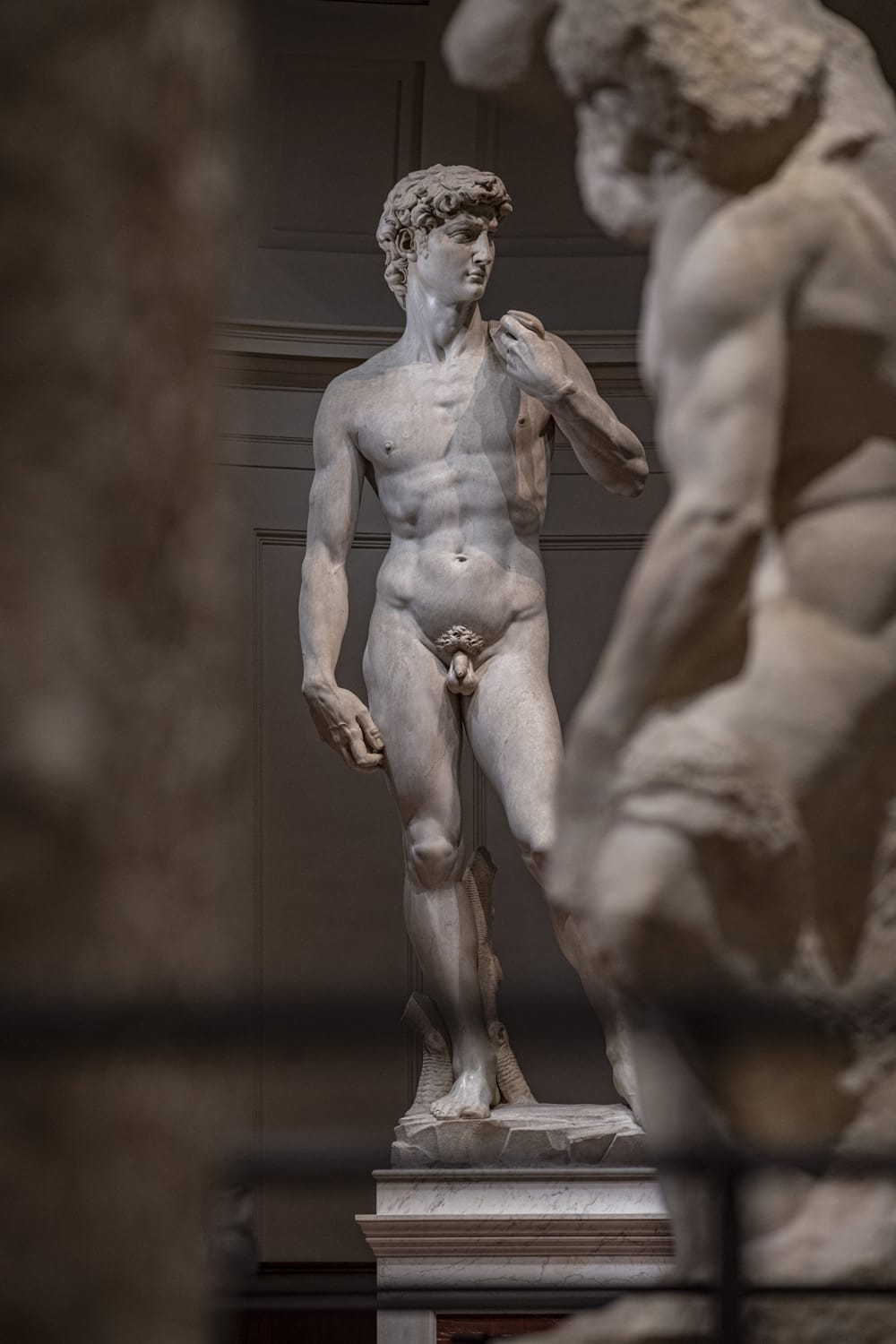 GALLERIA DELL'ACCADEMIA di FIRENZE | Marco Pierini Michelangelo nell’arte e nella cultura contemporanea | Lunedì 12 maggio, ore 17.30