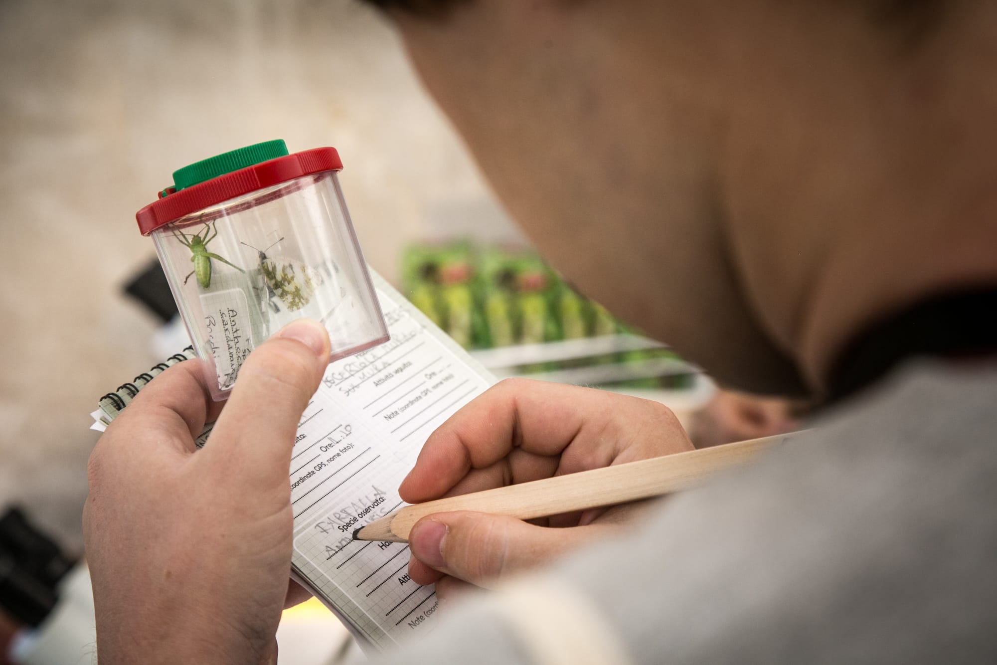 Settimana dedicata alla biodiversità: il National Biodiversity Future Center (NBFC) promuove la Biodiversity Sampling Week - BSW dal 12 al 18 maggio