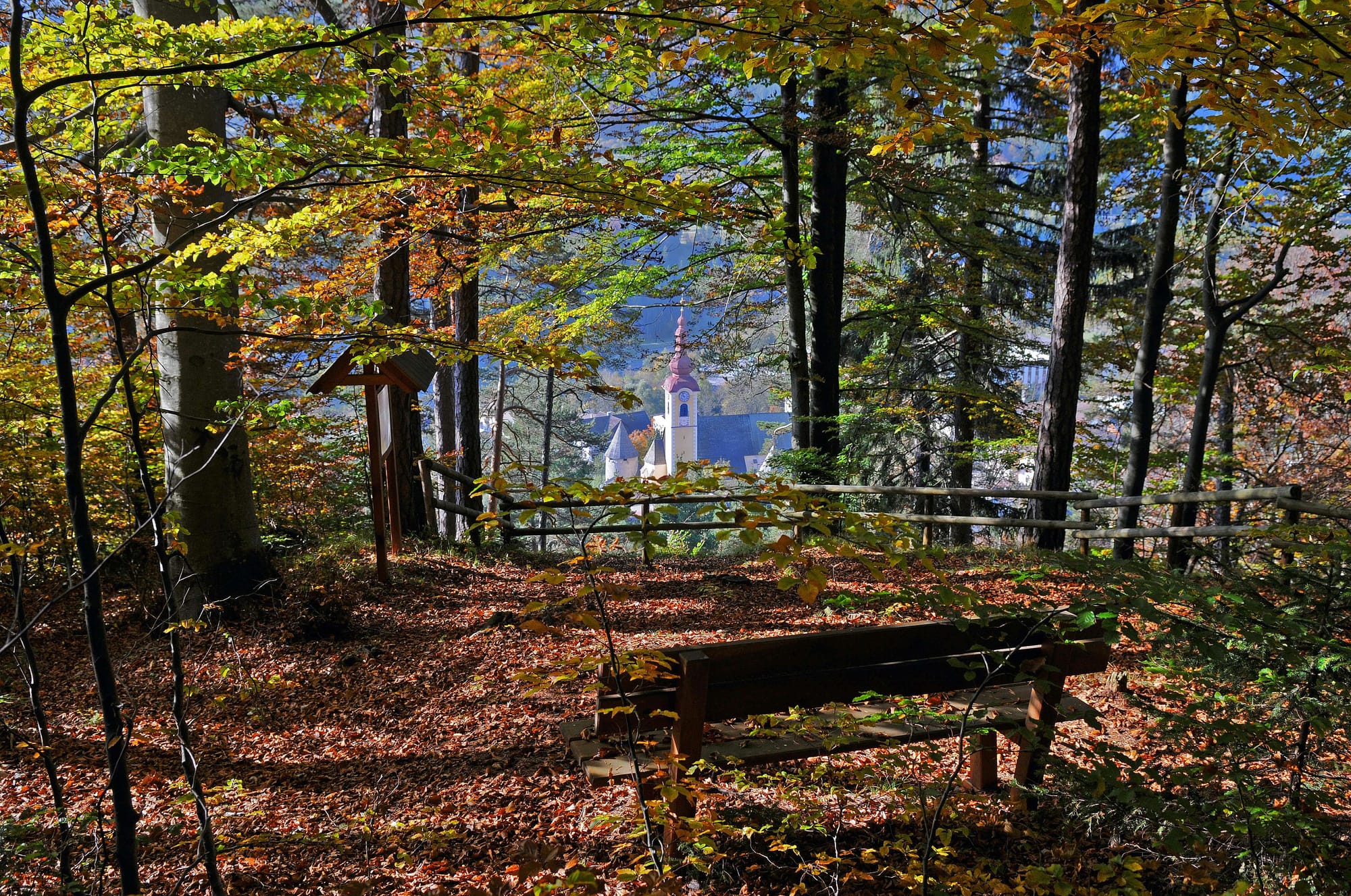 AUTUNNO A TARVISIO: TUTTI I SENTIERI DEL FOLIAGE