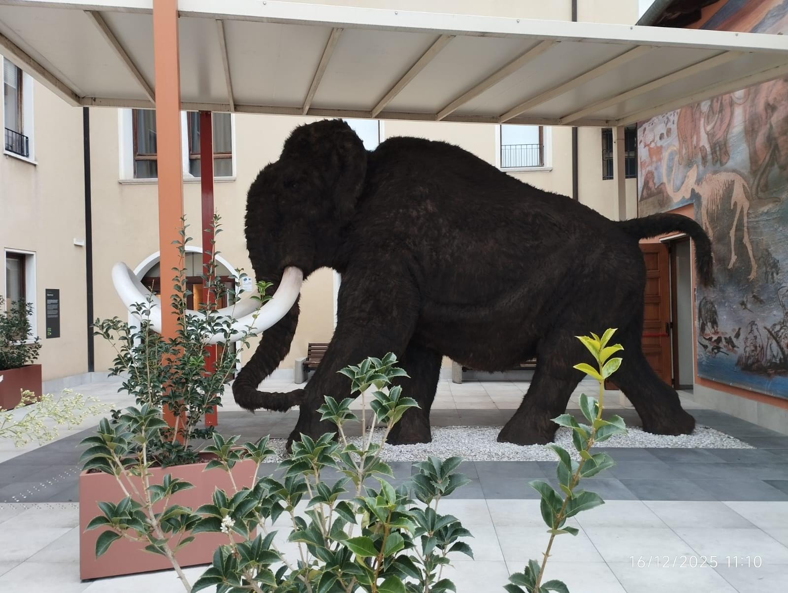 Comune di Pordenone Le attività di marzo nei Musei Civici