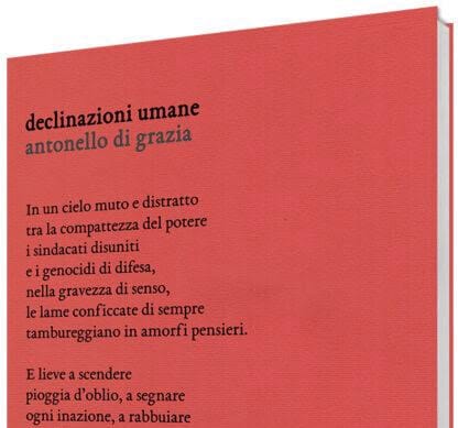 Recensione libro "Declinazioni umane" Antonello Di Grazia (Eretica Edizioni)