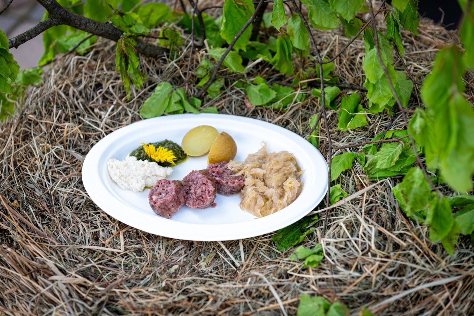 Fra i monti della Carnia a SUTRIO  "Fums, profums e salums" 26 aprile a Sutrio