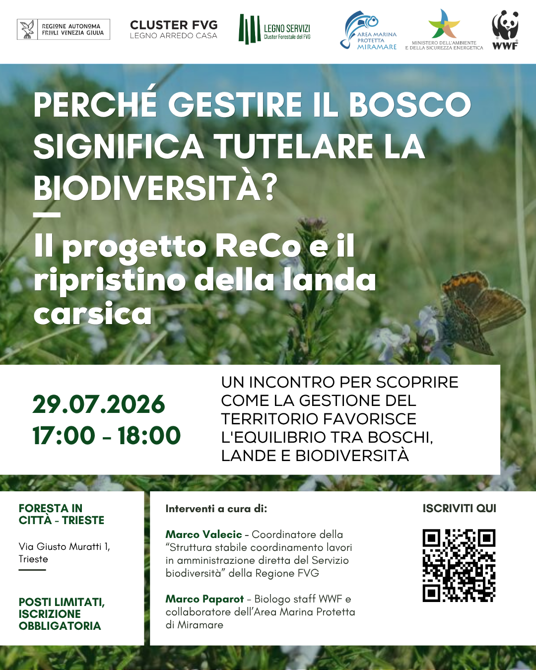 Perché gestire il bosco significa tutelare la biodiversità?