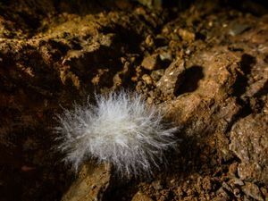 ETHOS - TEATRO SOTTERRANEO Inaugurazione della mostra a GORIZIA 26 ott-