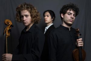 DOMANI 5 NOVEMBRE: Al via la ventesima edizione de "I Concerti di San Martino in Carnia"