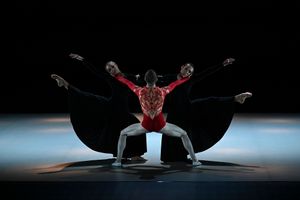 Teatro Nuovo Giovanni da Udine 19 NOVEMBRE "LA SAGRA DELLA PRIMAVERA" E "L'UCCELLO DI FUOCO"