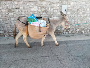 Nessuno escluso. Biblioteca a passo d'asino (il progetto di LeggiAMO 0-18) nella Comunità delle Prealpi Friulane Orientali /