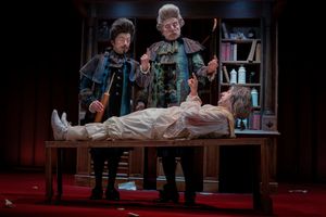 EMILIO SOLFRIZZI E' IL MALATO IMMAGINARIO: AL GIOVANNI DA UDINE DAL 22 AL 24 Nov.