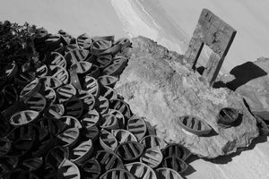 Dedica festival, domani 19 marzo inaugura AMURI DI PETRA la mostra su Lampedusa di Mara Fella, presente Maylis de Kerangal
