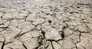 TREEART FESTIVAL BUTTRIO 2023 - IN OCCASIONE DELLA GIORNATA MONDIALE DELL'ACQUA DEL 22 MARZO, IL FESTIVAL LANCIA IL TEMA 2023: SICCITÀ. LE DATE SONO 13 - 16 LUGLIO