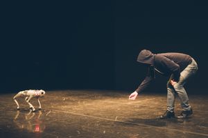 MITTELFEST 2023: presentato il cartellone di Mittelfest  "Inevitabile"e di Mittelyoung