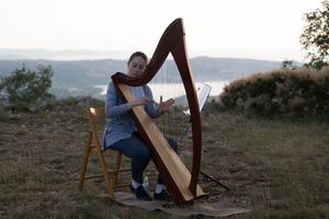 Sabato 6 e domenica 7 maggio: al Castello di Miramare il duo pianistico Pollice; a Muggia l'Arpa celtica di Manzutto