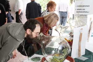 AI NASTRI DI PARTENZA “OLIO E DINTORNI”: DAL 26 AL 28 MAGGIO A VILLA MASERI DI OLEIS