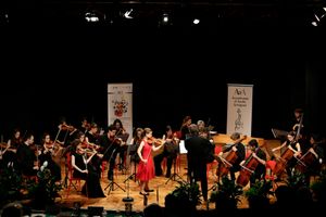 Il Piccolo Violino Magico Settima edizione 4-9 luglio San Vito al Tagliamento