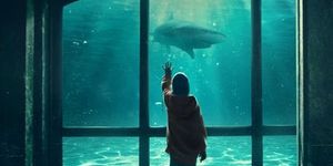 Denti da Squalo: il sorprendente esordio alla regia di Davide Gentile