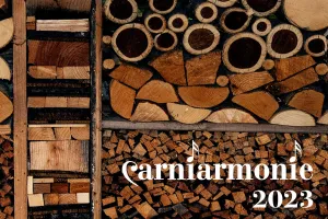 Dal 1 al 6 agosto con Carniarmonie. Settimana d'inizio per tutti i gusti: da Bach alla musica di oggi