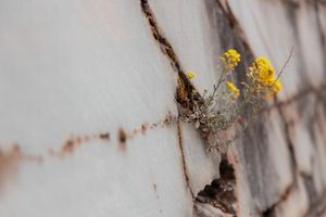 Progetto "KAVE / L'Ecosistema della Pietra di Aurisina- Verso il Museo diffuso delle Cave e della Pietra" INAUGURAZIONE SCULTURA E MOSTRA MULTIMEDIALE Piazza della Borsa e Camera di commercio Venezia Giulia