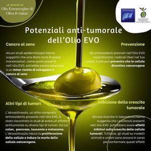 Olio & Salute Giornata nazionale della Camminata tra gli olivi 2023 IL CONTRIBUTO DELLA FONDAZIONE ITALIANA FEGATO ONLUS