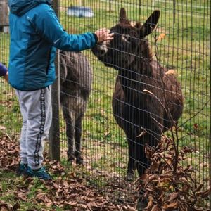 14 e 15 ottobre a Sutrio (Carnia) - Weekend di gusto fra antiche farine e formaggi di malga
