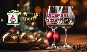 Movimento Turismo del Vino FVG presenta Cantine Aperte a Natale