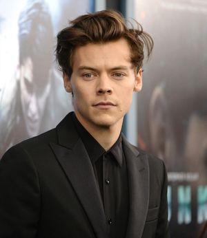 GIOVEDÌ 1 FEBBRAIO 2024 HARRY STYLES compie trent’anni e i lettori premiano la biografia “Harry Styles. Il gentiluomo del pop” di Michelangelo Iossa