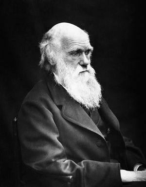 GRAZIE DARWIN 2024: a Napoli torna l'appuntamento della Federico II dedicato a Charles Darwin