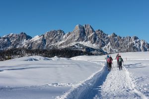 Carnia - Vivere la montagna oltre lo sci. Con Visit Zoncolan è subito… Experience
