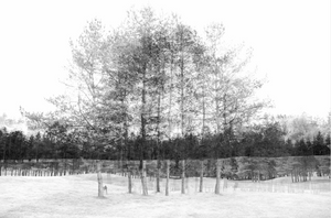 SOBIVANJE / CONVIVENZA Mostra fotografica Inaugurazione sabato 16 marzo 2024 ore 18.00 Portopiccolo Art Gallery (Sistiana, Duino)