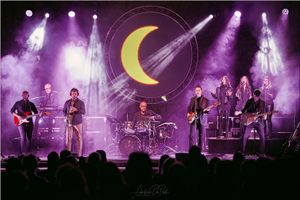 ARTEGNA: sabato 23 marzo i PINK PLANET in concerto