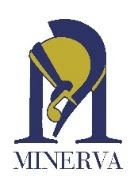 Minerva torna al salone del libro di Torino- 5 presentazioni di libri in programma