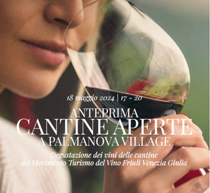 ANTEPRIMA CANTINE APERTE  A PALMANOVA VILLAGE
