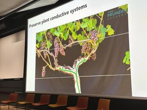 Marco Simonit al “Vine to Mind: Decanting Wine's Future with Data Science & AI” tenutosi all’Harvard University di Boston