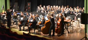 ARTICOL0 28-MUSICHE PER LA PACE, IL CONCERTO DEL LICEO MUSICALE PERCOTO DI UDINE