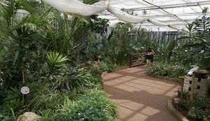 Casa delle farfalle di Bordano, al via la rassegna estiva di eventi