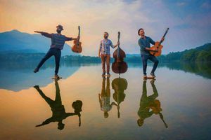 PALCHI NEI PARCHI: DOPPIO APPUNTAMENTO, VENERDÌ 5 ALLE 20.45 A BOSCO ROMAGNO E SABATO 6 LUGLIO ALLE 11.00 A BARCIS, CON LA RASSEGNA ITINERANTE DEL CORPO FORESTALE DELLA REGIONE FVG