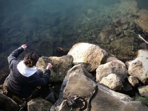 Domani, giovedì 4 luglio, davanti alla spiaggia de I Filtri di Aurisina “SILENZIOSO SOMMERSO”