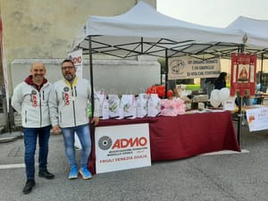 DOMANI - Pasqua 2025: ADMO Fvg torna in piazza con “Una colomba per la vita”