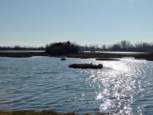 Il Festival dell’Acqua di Staranzano premiato anche quest’anno dalla Regione Autonoma Friuli Venezia Giulia: la soddisfazione del Comune.