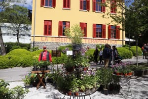 NEL WEEKEND DI PASQUA LA XIX EDIZIONE DI HORTI TERGESTINI: TANTO VERDE, LABORATORI, PRESENTAZIONI DI LIBRI