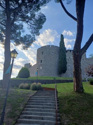 IL CUORE ANTICO DI GORIZIA SI RISVEGLIA: UN LABORATORIO DI ARTE, MEMORIA E PARTECIPAZIONE PER IL RILANCIO DI BORGO CASTELLO