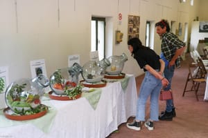 AI NASTRI DI PARTENZA "OLIO E DINTORNI" QUEST’ANNO GIUNTA ALLA 20^ EDIZIONE IN PROGRAMMA DAL 23 AL 25 MAGGIO A VILLA MASERI DI OLEIS.